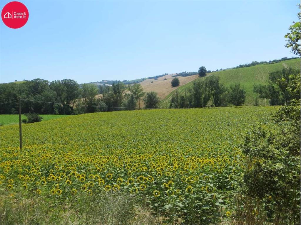 immagine annuncio 1 di 8