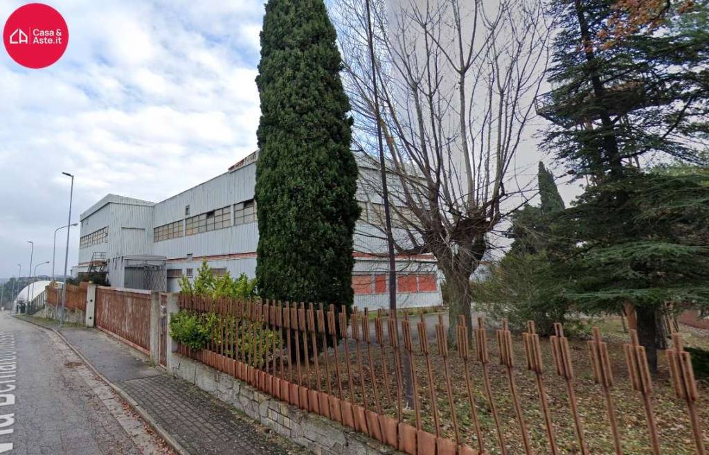 immagine annuncio 1 di 9