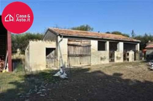 immagine annuncio 3 di 8