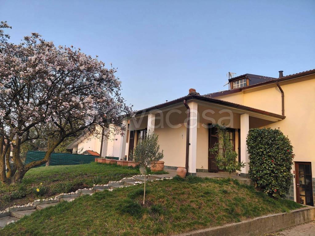 immagine annuncio 11 di 15