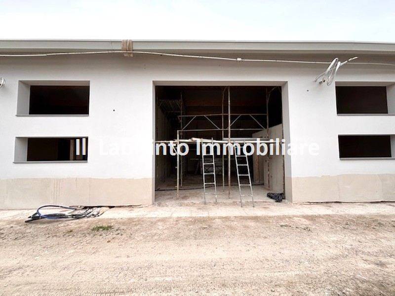 immagine annuncio 4 di 7