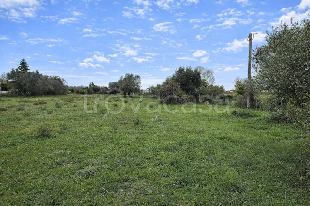 immagine annuncio 4 di 9