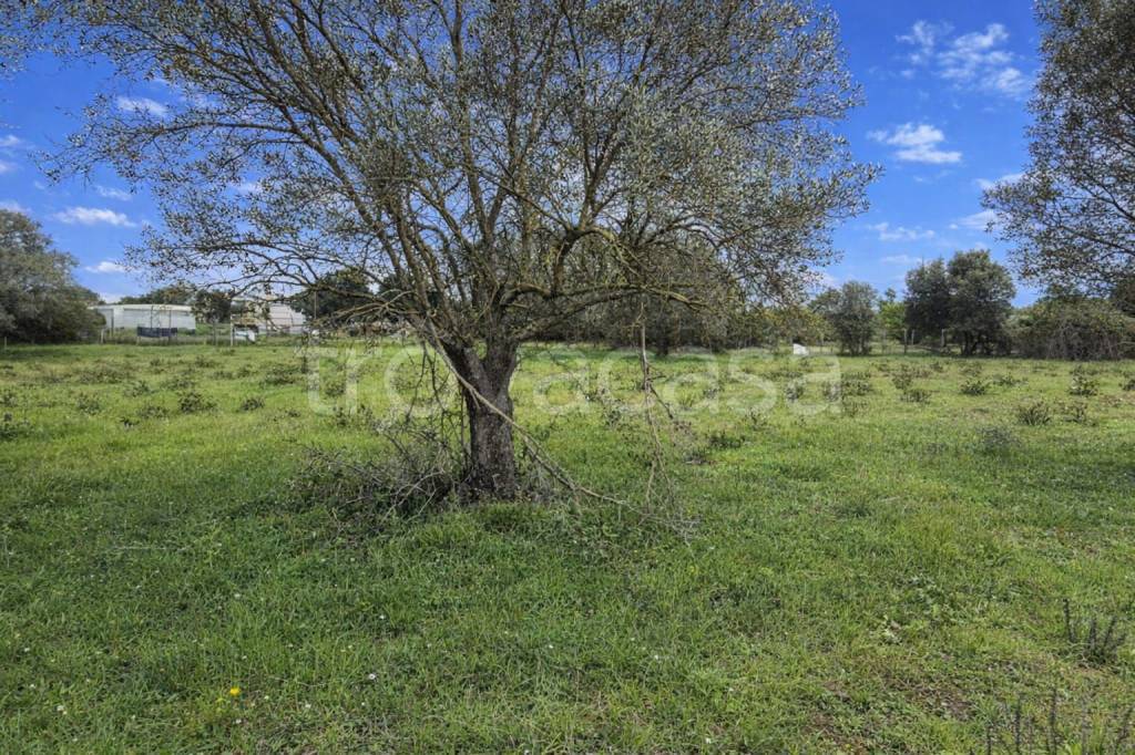 immagine annuncio 7 di 9