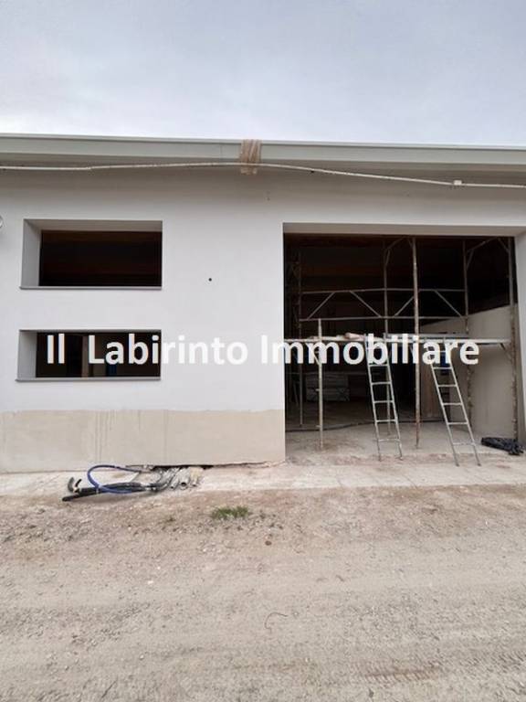 immagine annuncio 3 di 7