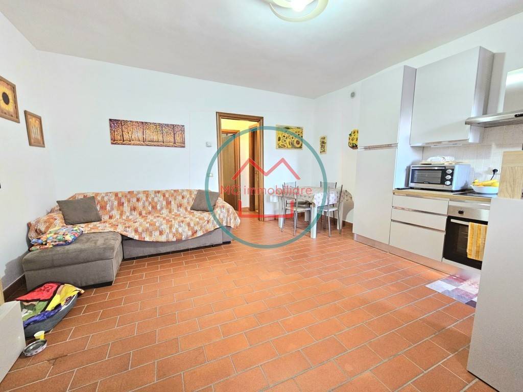 immagine annuncio 2 di 12