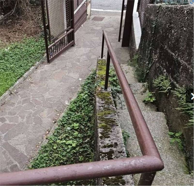 immagine annuncio 12 di 14