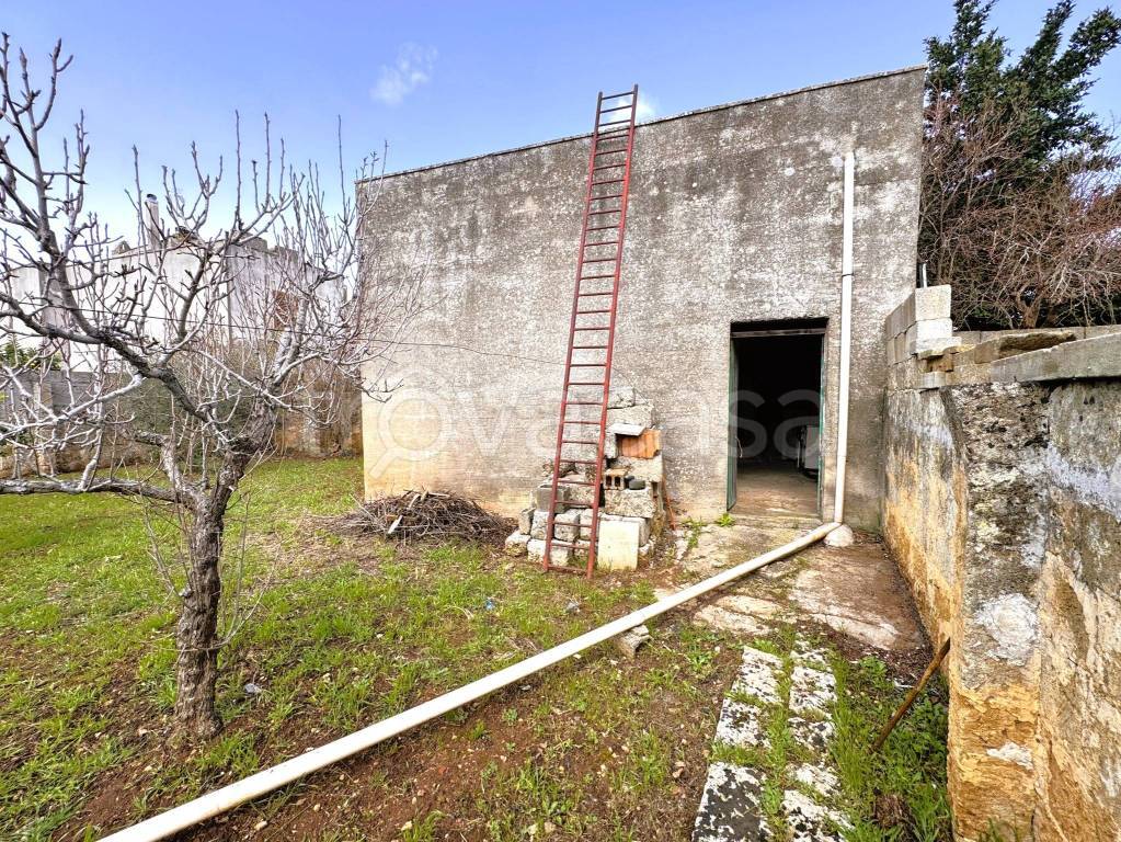 immagine annuncio 13 di 15