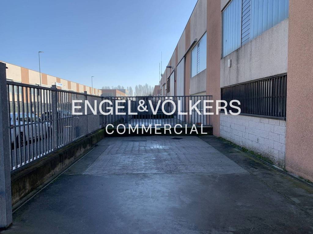 immagine annuncio 12 di 15