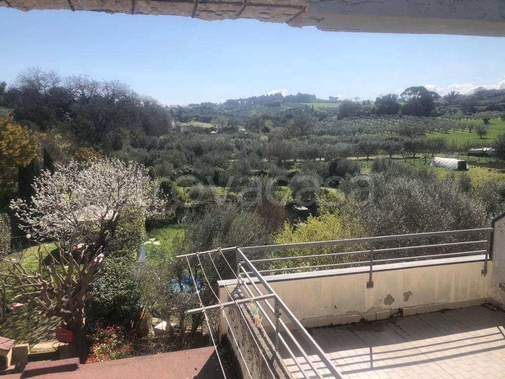 immagine annuncio 7 di 13