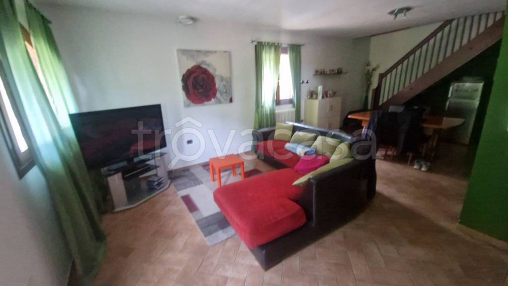 immagine annuncio 3 di 14