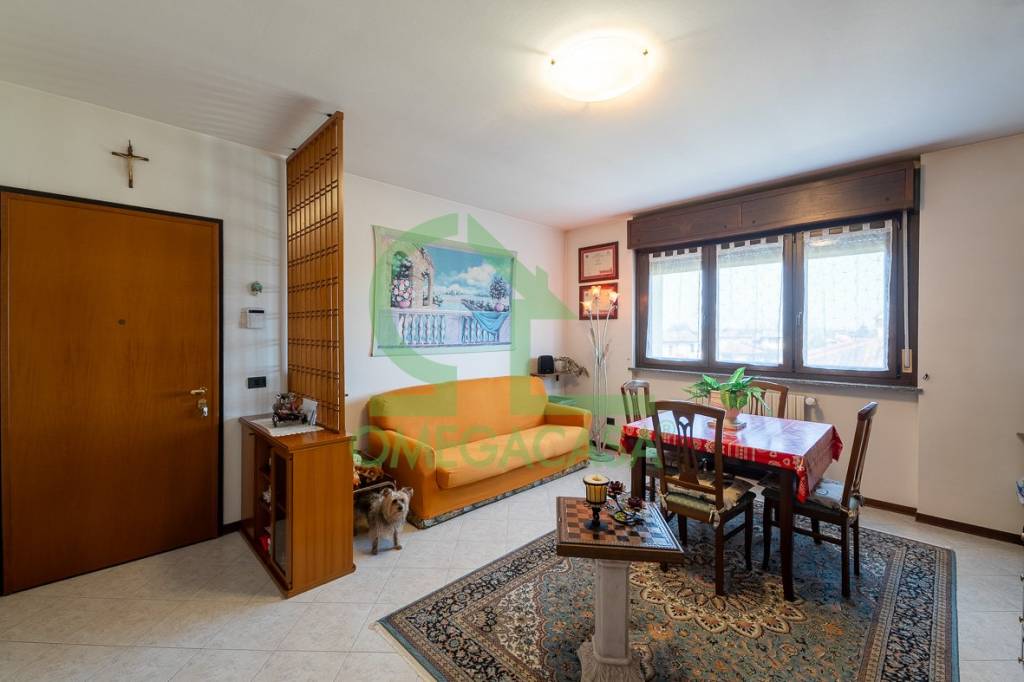 immagine annuncio 1 di 14