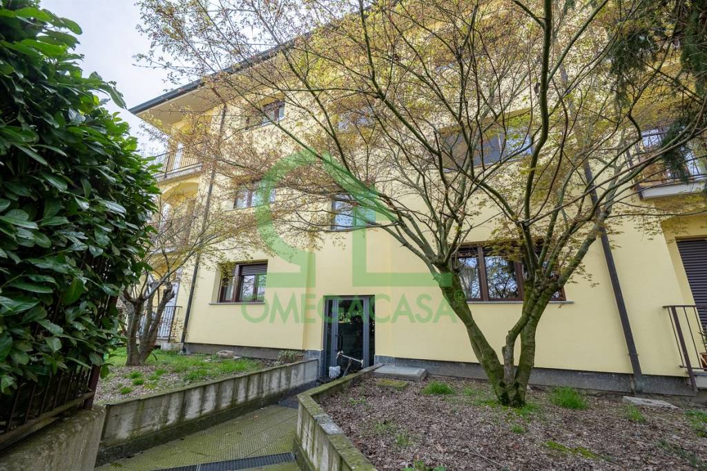 immagine annuncio 11 di 14