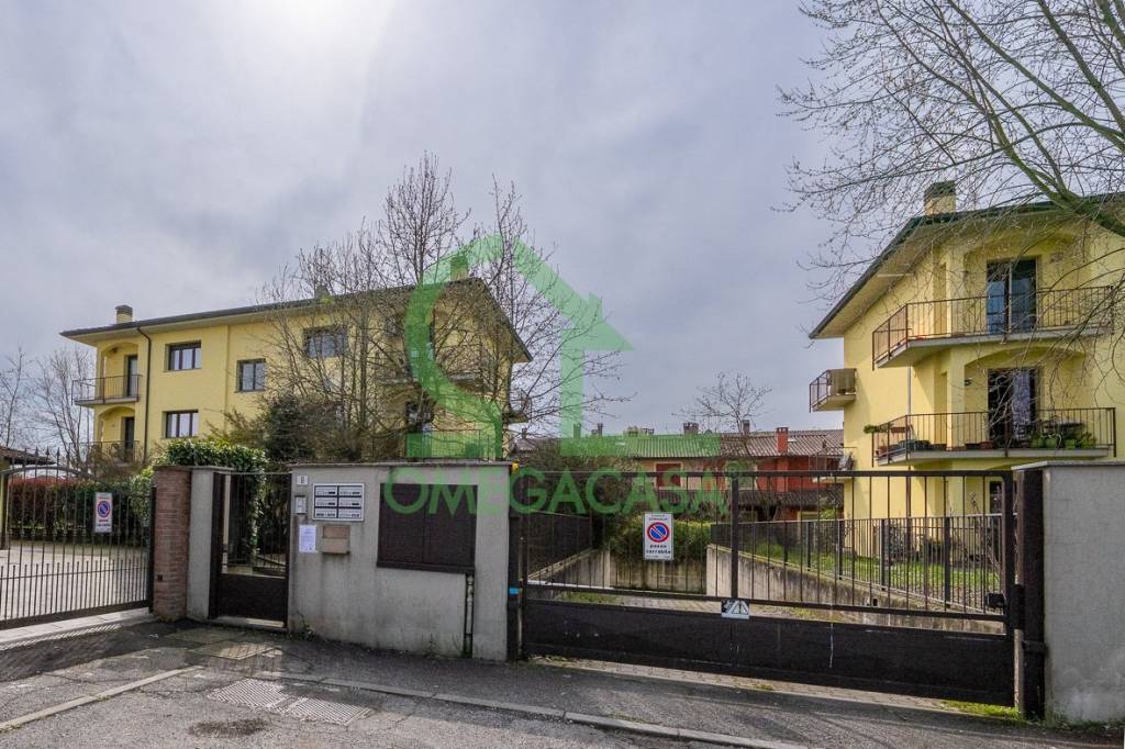 immagine annuncio 12 di 14