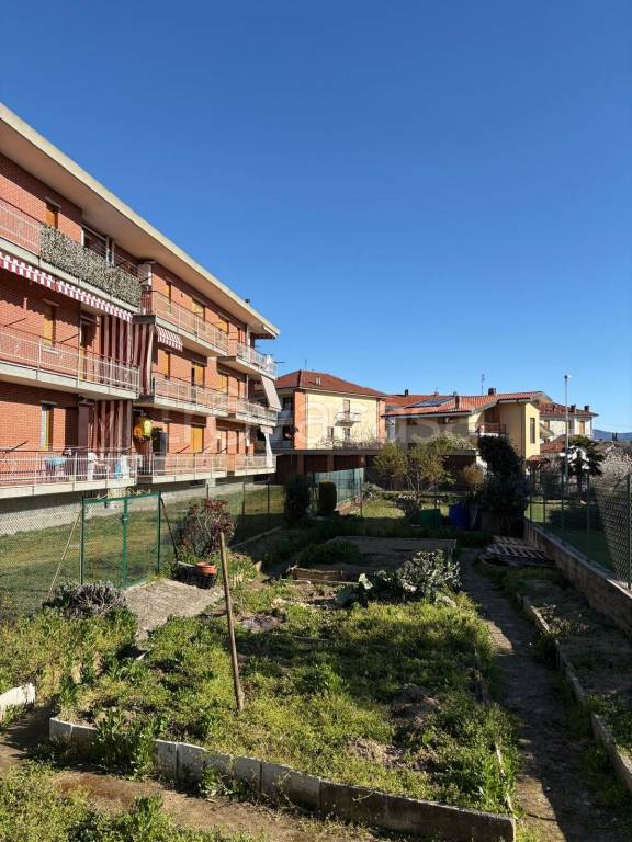 immagine annuncio 5 di 14