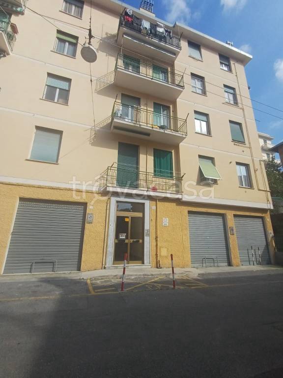 immagine annuncio 4 di 6