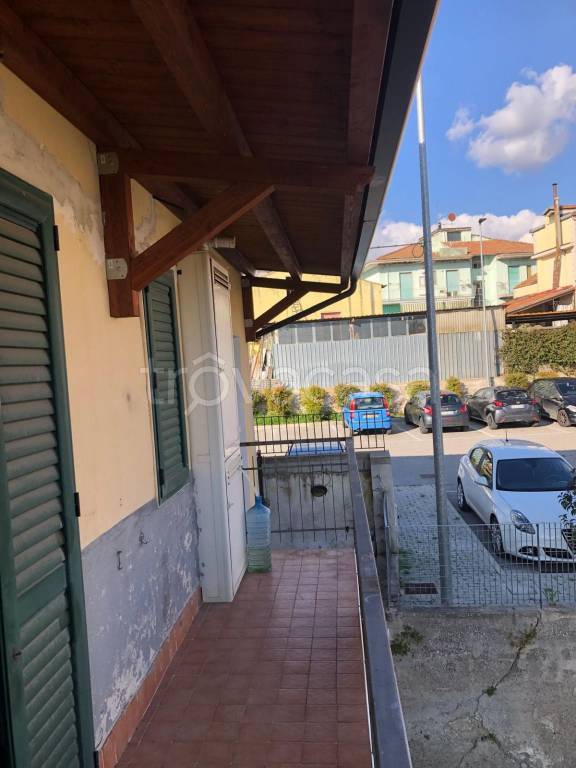 immagine annuncio 10 di 12