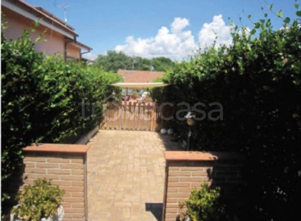 immagine annuncio 9 di 11