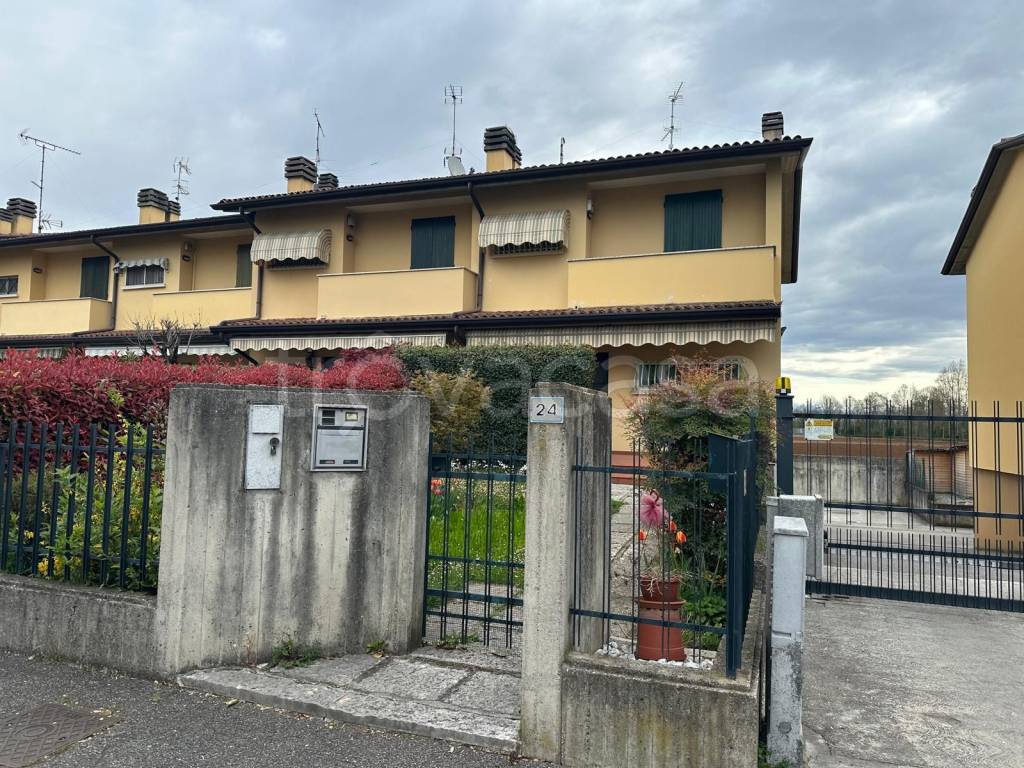 immagine annuncio 1 di 15