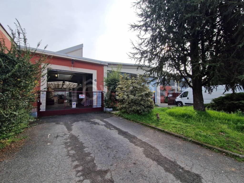 immagine annuncio 1 di 15