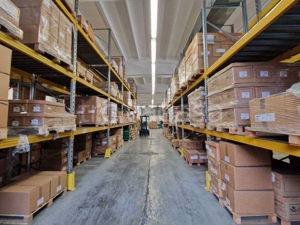 immagine annuncio 9 di 15