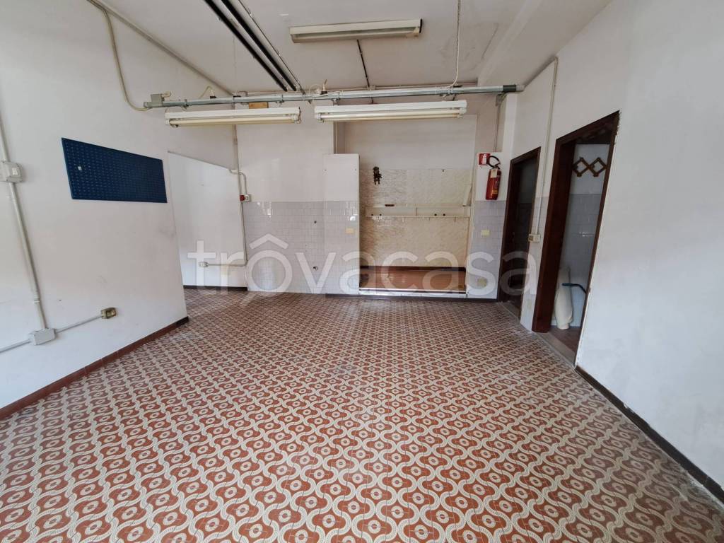 immagine annuncio 9 di 13