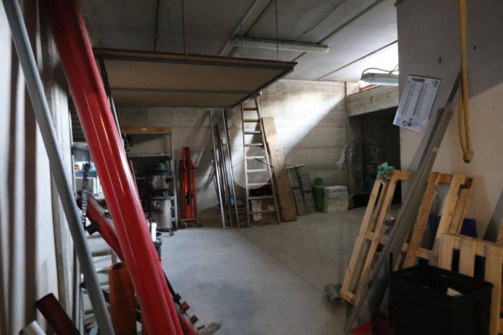 immagine annuncio 4 di 7