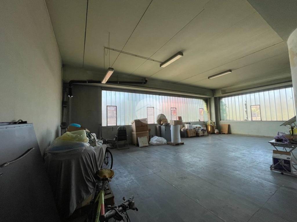 immagine annuncio 7 di 15