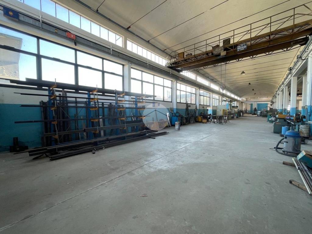 immagine annuncio 9 di 15