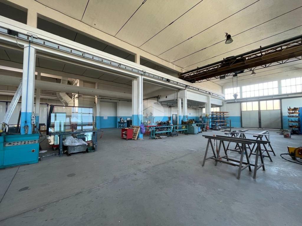 immagine annuncio 11 di 15