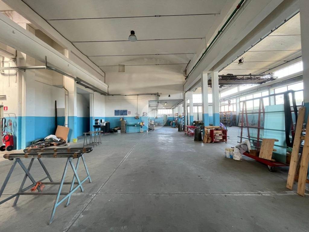 immagine annuncio 12 di 15