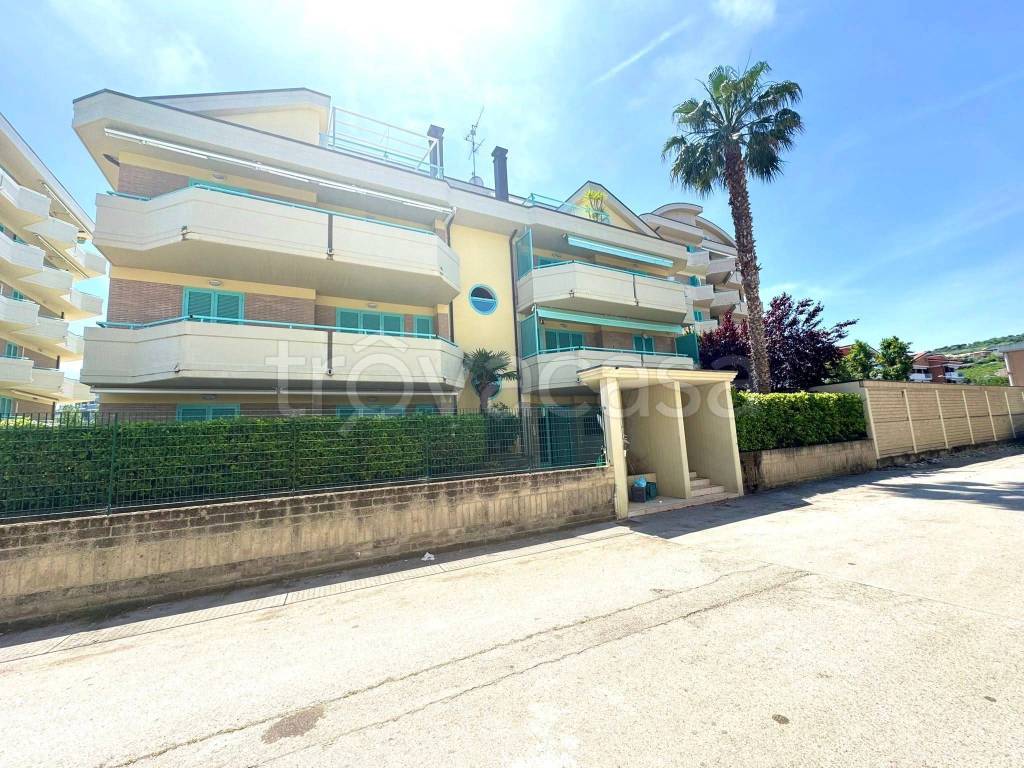 immagine annuncio 9 di 12