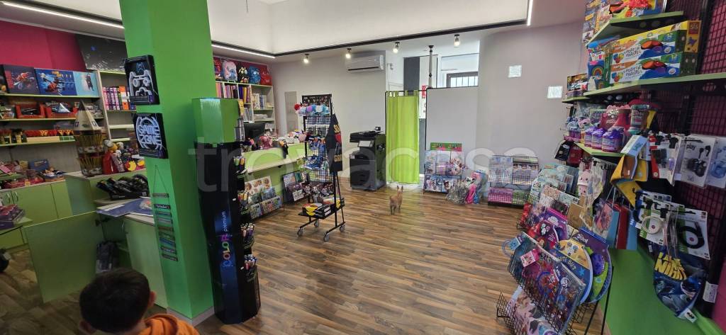 immagine annuncio 5 di 10