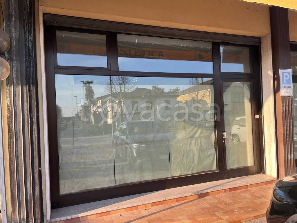 immagine annuncio 8 di 12