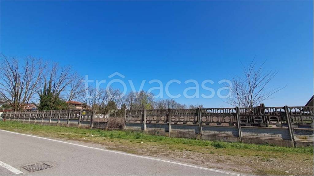 immagine annuncio 3 di 8