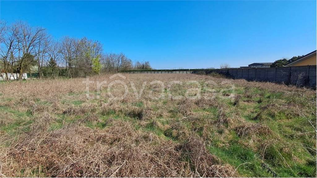 immagine annuncio 4 di 8