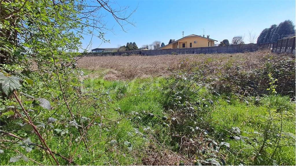 immagine annuncio 6 di 8