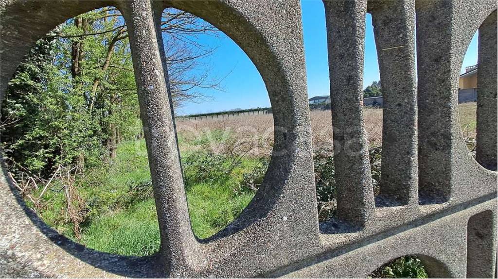 immagine annuncio 7 di 8