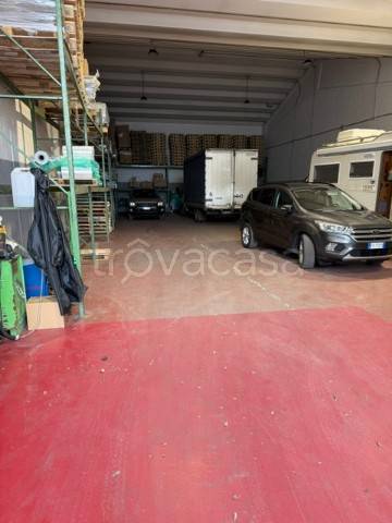 immagine annuncio 2 di 9