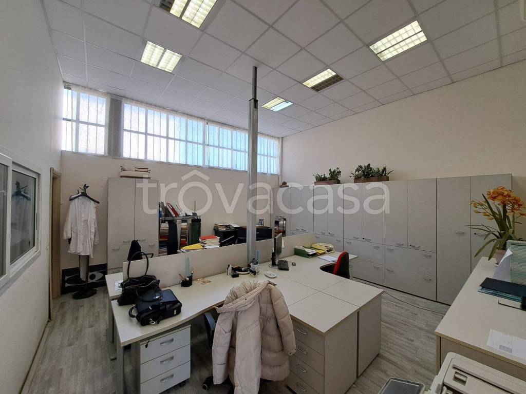 immagine annuncio 2 di 13