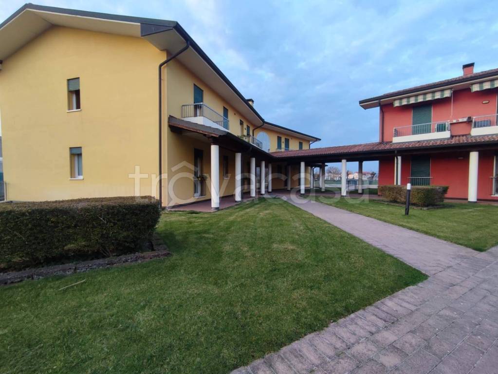 immagine annuncio 2 di 12