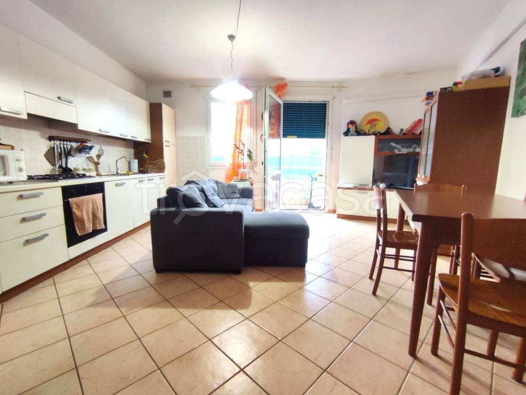 immagine annuncio 4 di 12