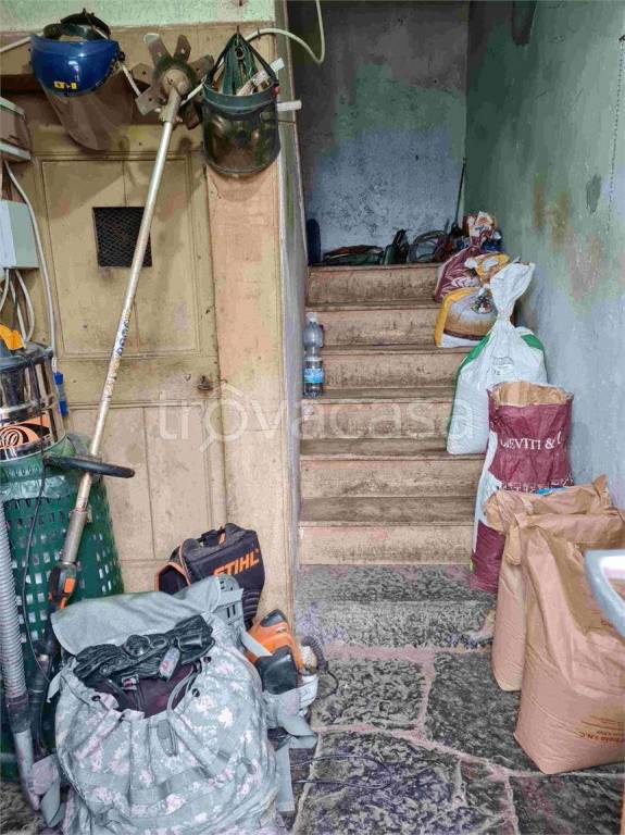 immagine annuncio 5 di 12