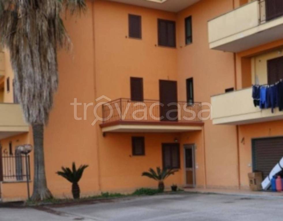 immagine annuncio 3 di 11