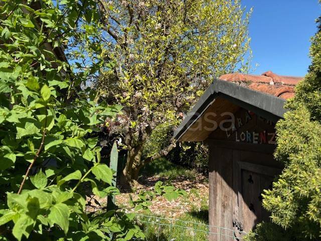 immagine annuncio 8 di 11