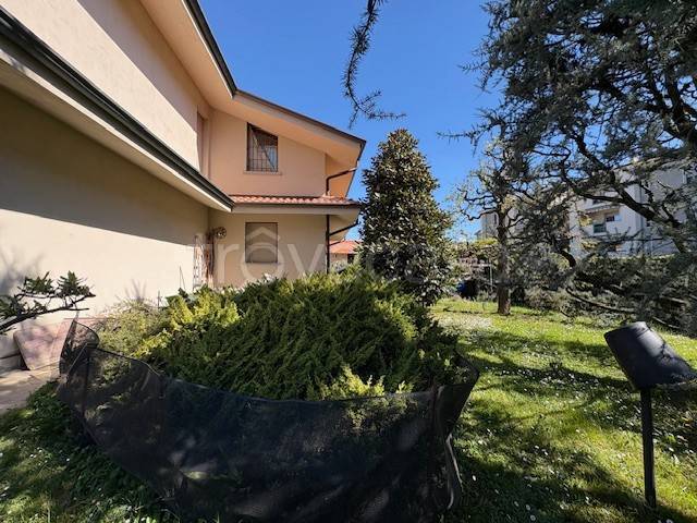 immagine annuncio 10 di 11