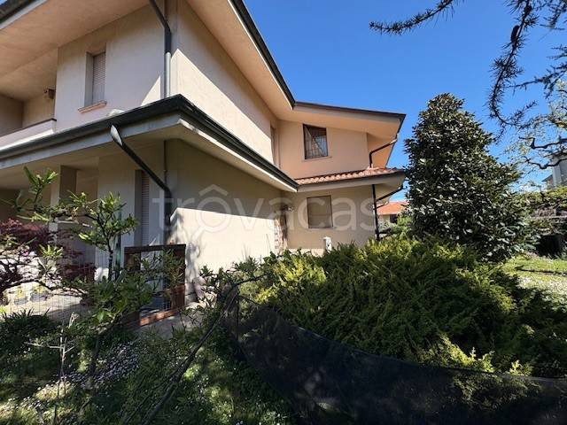 immagine annuncio 1 di 11