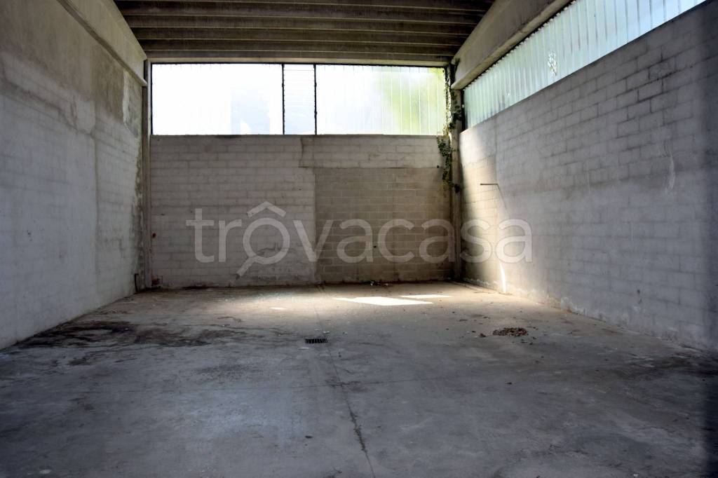 immagine annuncio 2 di 7