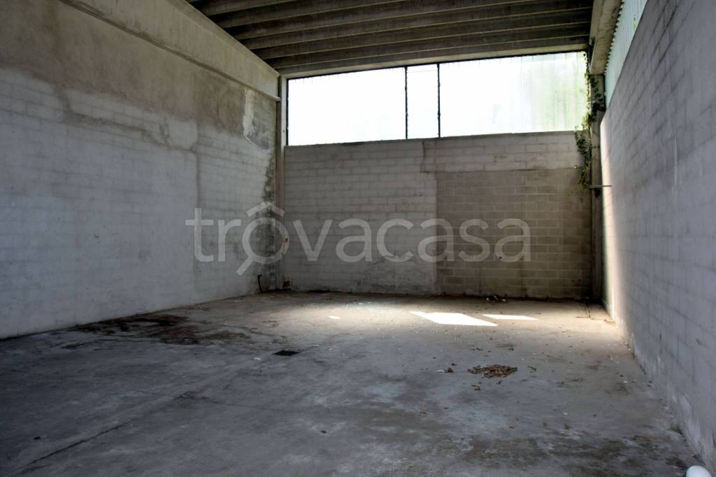 immagine annuncio 3 di 7