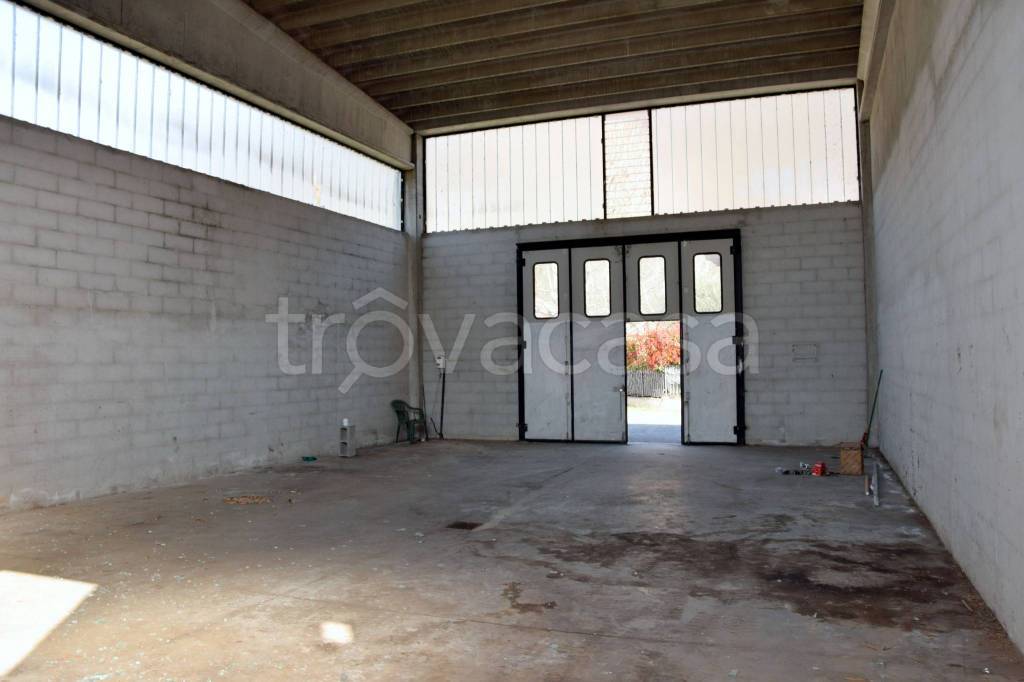 immagine annuncio 4 di 7