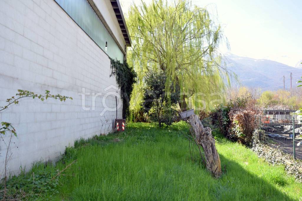 immagine annuncio 5 di 7